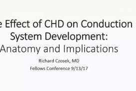 Morphology - Conduction system development & abnormalities in CHD - Richard Czosek - heart specimen demonstrations by Justin Tretter