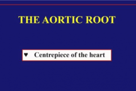 Morphology - Aortic root with surgical implications – Bob Anderson and James Quintessenza – Cincinnati 2019