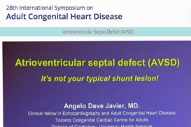Toronto 2018- Atrioventricular Septal Defects-AVSD- SESSION 11 - ANATOMY, EMBRYOLOGY, AND IMAGING - AVSD - Dave Javier